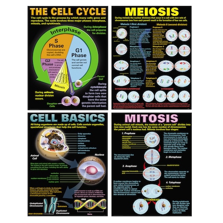 Mcdonald Cells Teaching Poster Set TCRP127